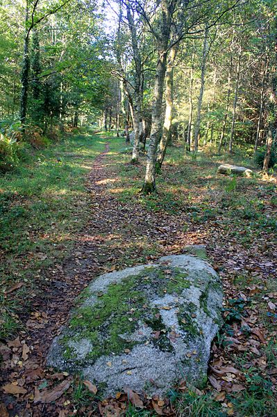 Alignement de Kornevec à Camors