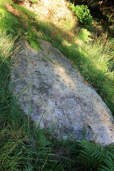 Alignement de Kornevec à Camors