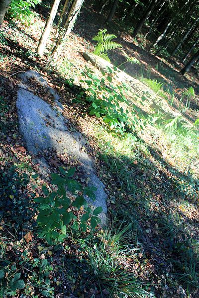 Alignement de Kornevec à Camors