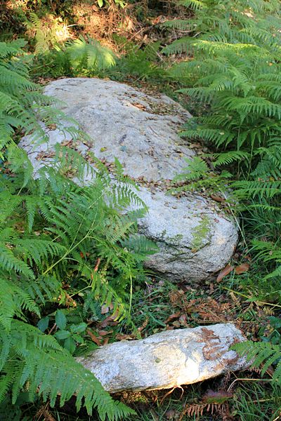 Alignement de Kornevec à Camors