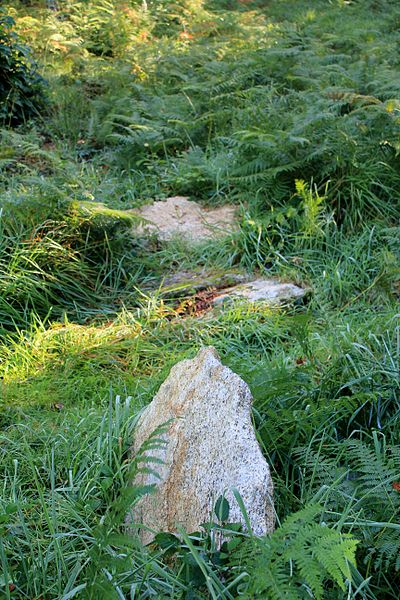 Alignement de Kornevec à Camors