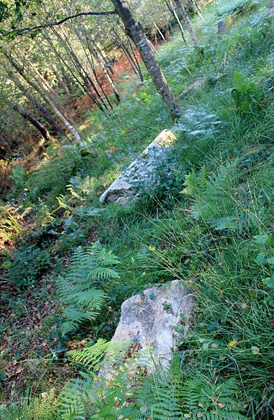 Alignement de Kornevec à Camors