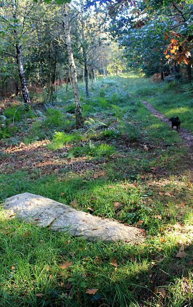 Alignement de Kornevec à Camors
