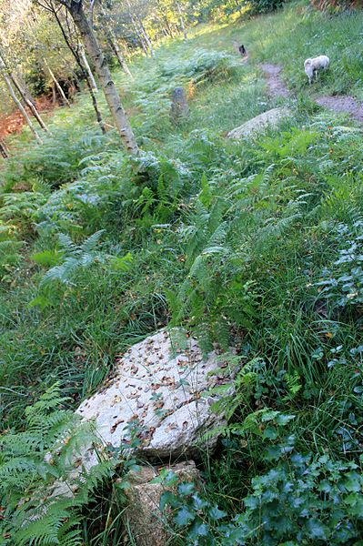 Alignement de Kornevec à Camors