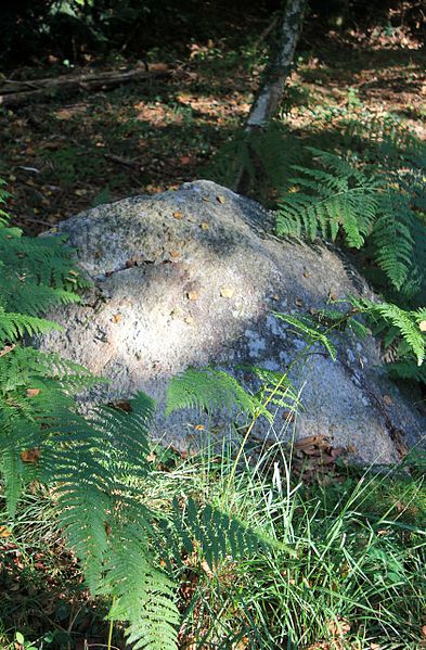 Alignement de Kornevec à Camors