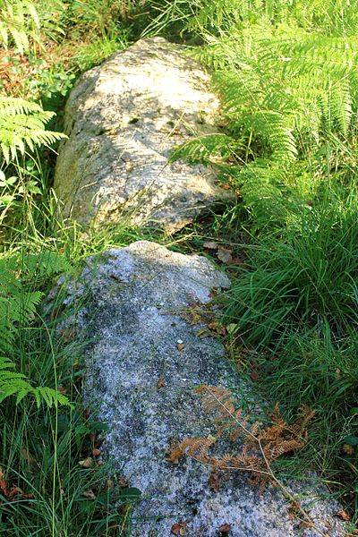 Alignement de Kornevec à Camors