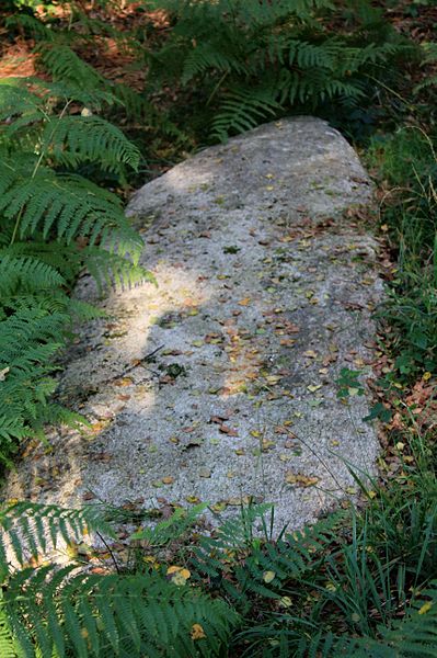 Alignement de Kornevec à Camors