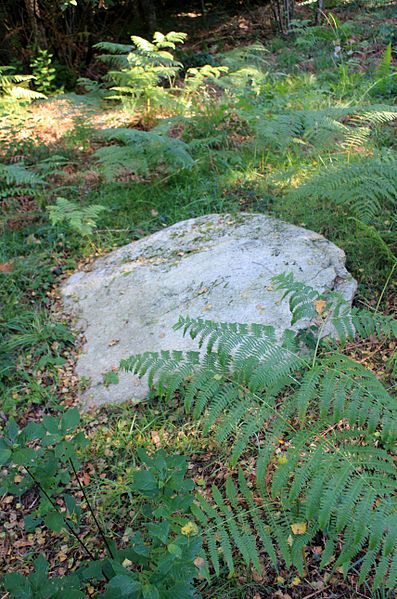 Alignement de Kornevec à Camors