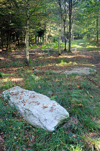 Alignement de Kornevec à Camors