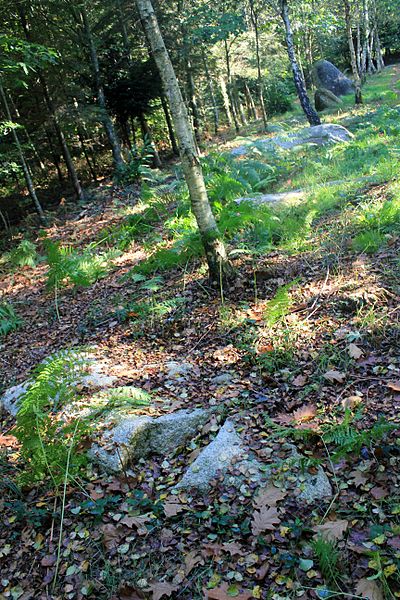 Alignement de Kornevec à Camors