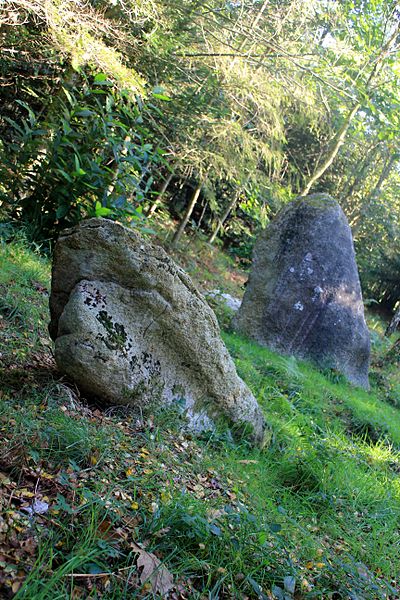 Alignement de Kornevec à Camors
