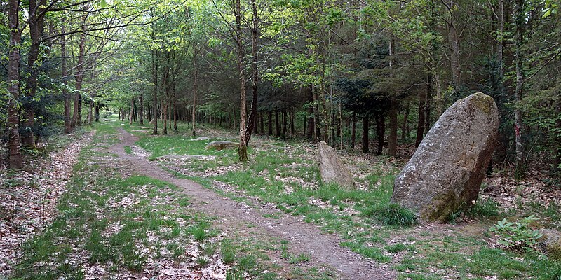 Alignement de Kornevec à Camors