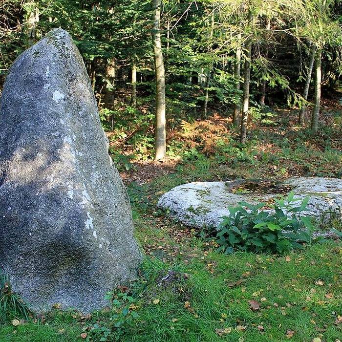 Photo de Alignement de Kornevec à Camors