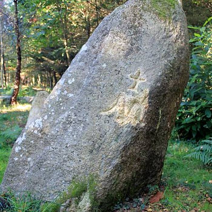 Photo de Alignement de Kornevec à Camors