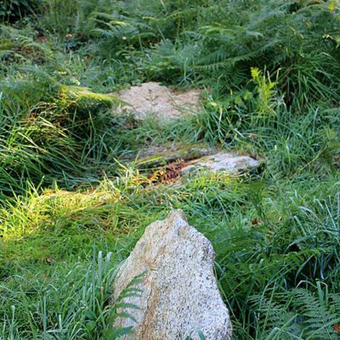 Photo de Alignement de Kornevec à Camors