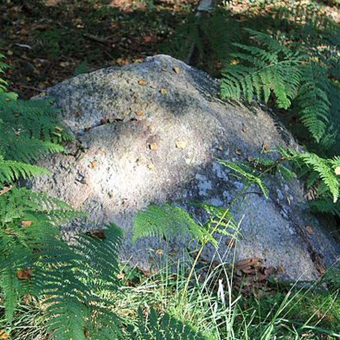 Photo de Alignement de Kornevec à Camors