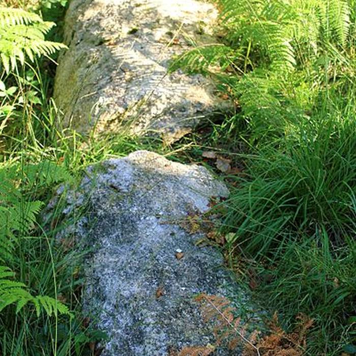 Photo de Alignement de Kornevec à Camors