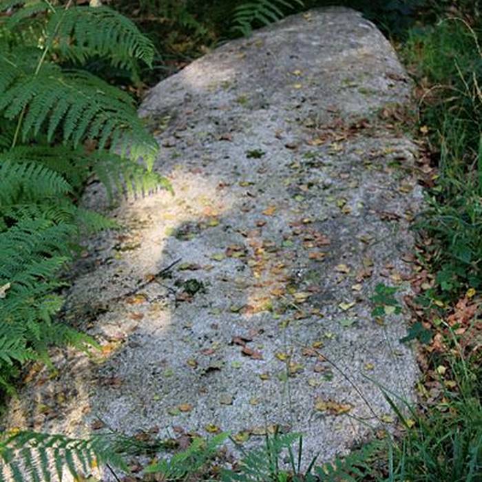 Photo de Alignement de Kornevec à Camors