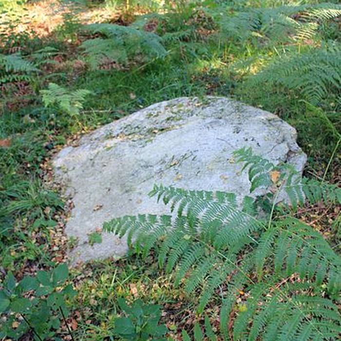 Photo de Alignement de Kornevec à Camors