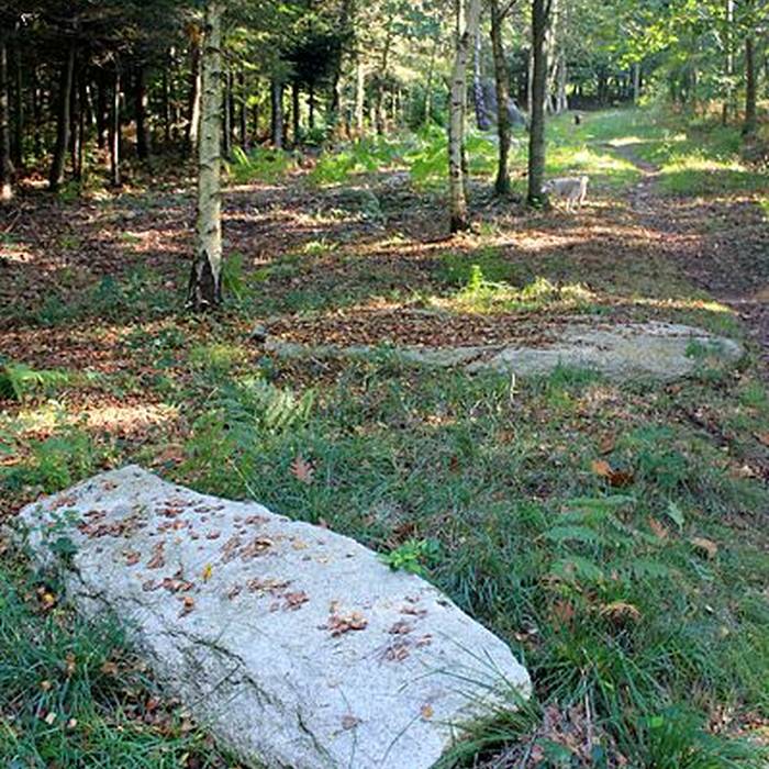 Photo de Alignement de Kornevec à Camors