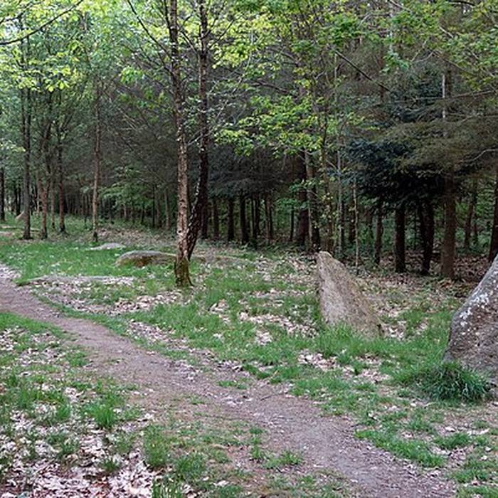 Photo de Alignement de Kornevec à Camors