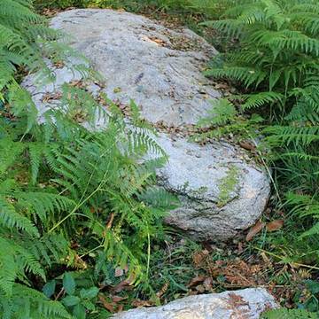Alignement de Kornevec à Camors
