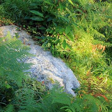Alignement de Kornevec à Camors