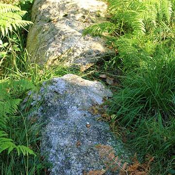 Alignement de Kornevec à Camors