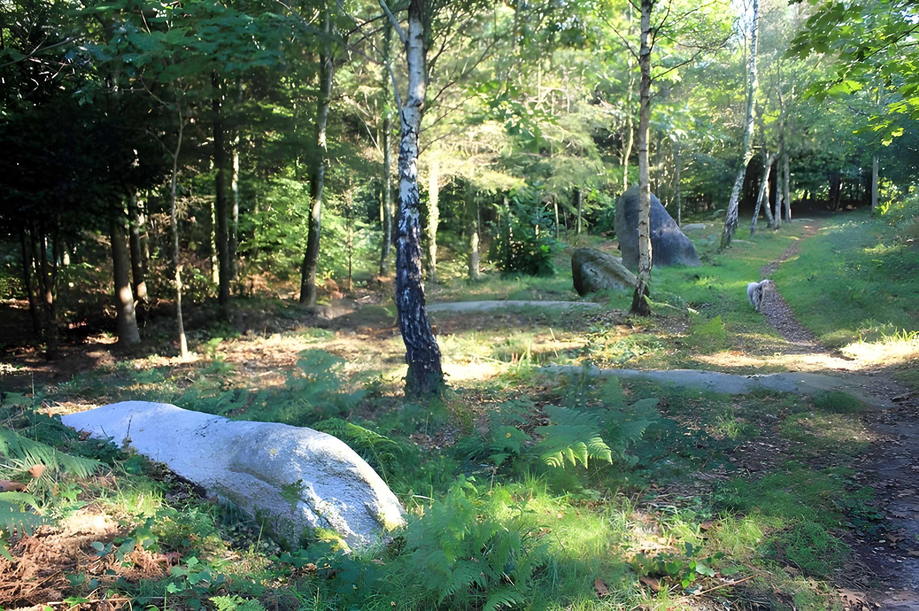 Alignement de Kornevec à Camors 