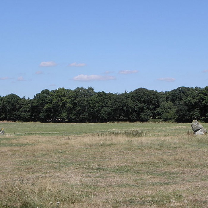 Photo de Alignement de menhirs de Bringuerault