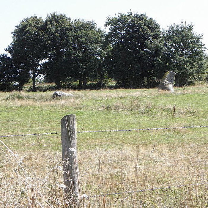 Photo de Alignement de menhirs de Bringuerault