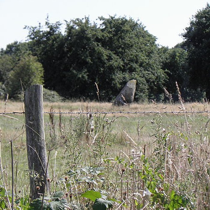 Photo de Alignement de menhirs de Bringuerault