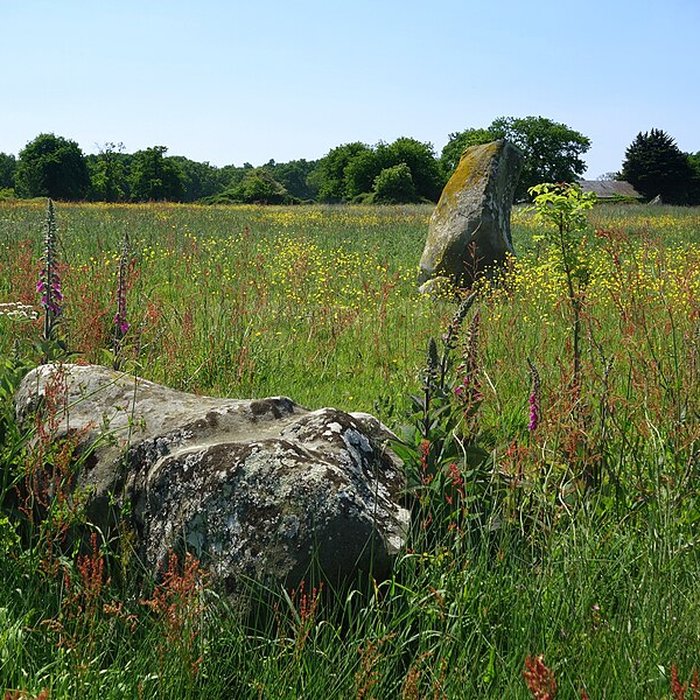 Photo de Alignement de menhirs de Bringuerault
