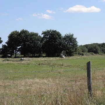 Alignement de menhirs de Bringuerault