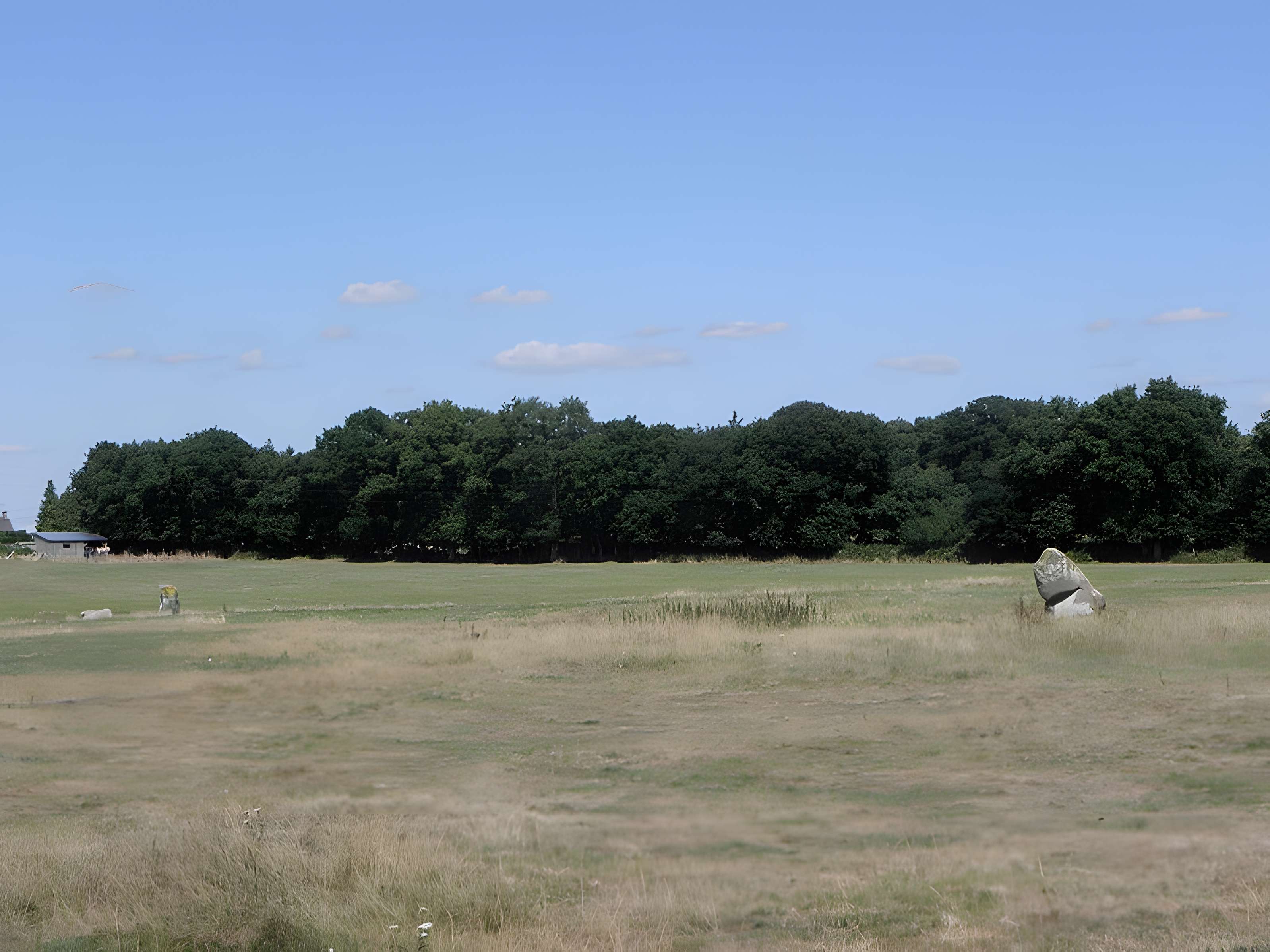Alignement de menhirs de Bringuerault 
