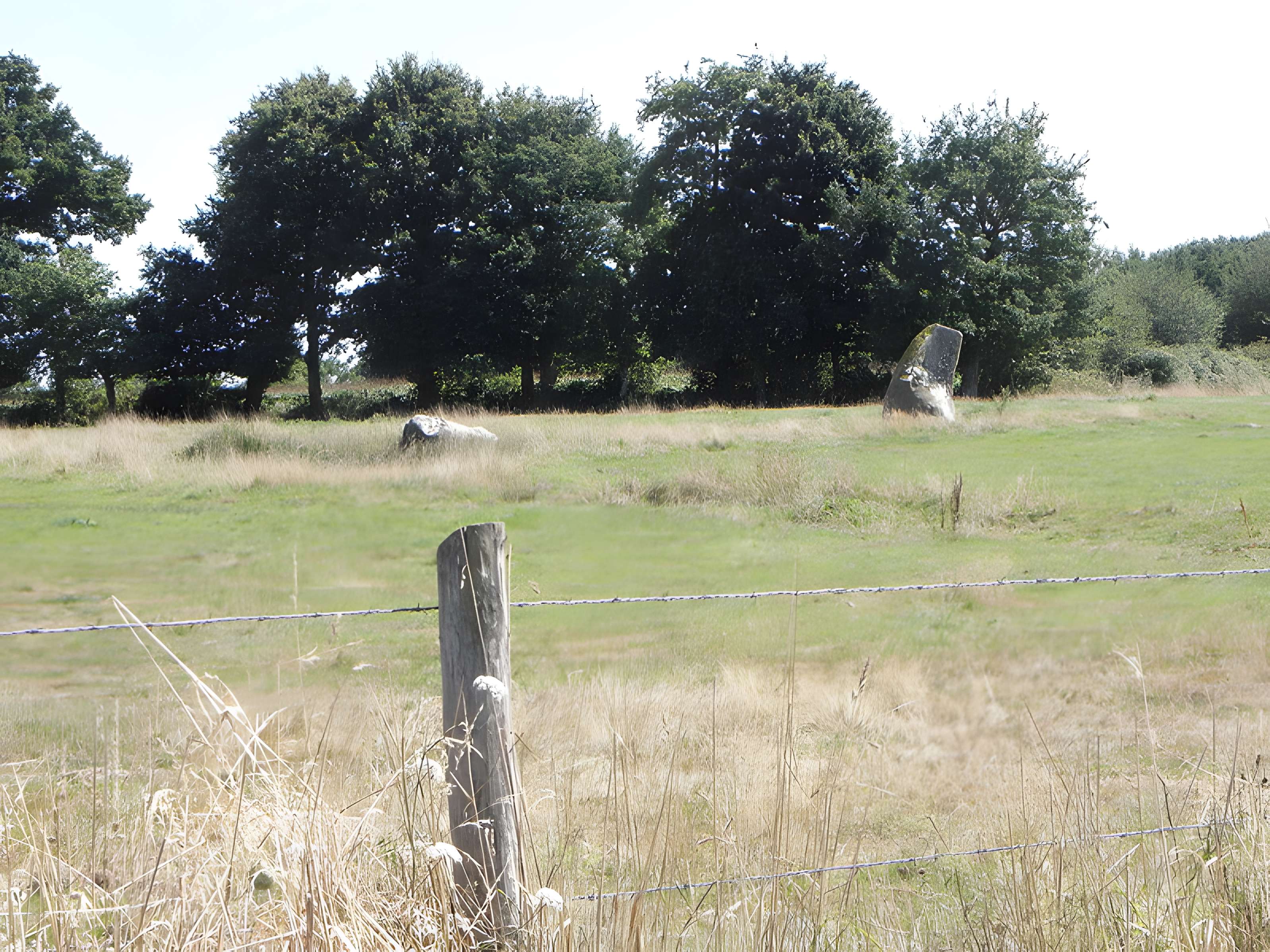 Alignement de menhirs de Bringuerault