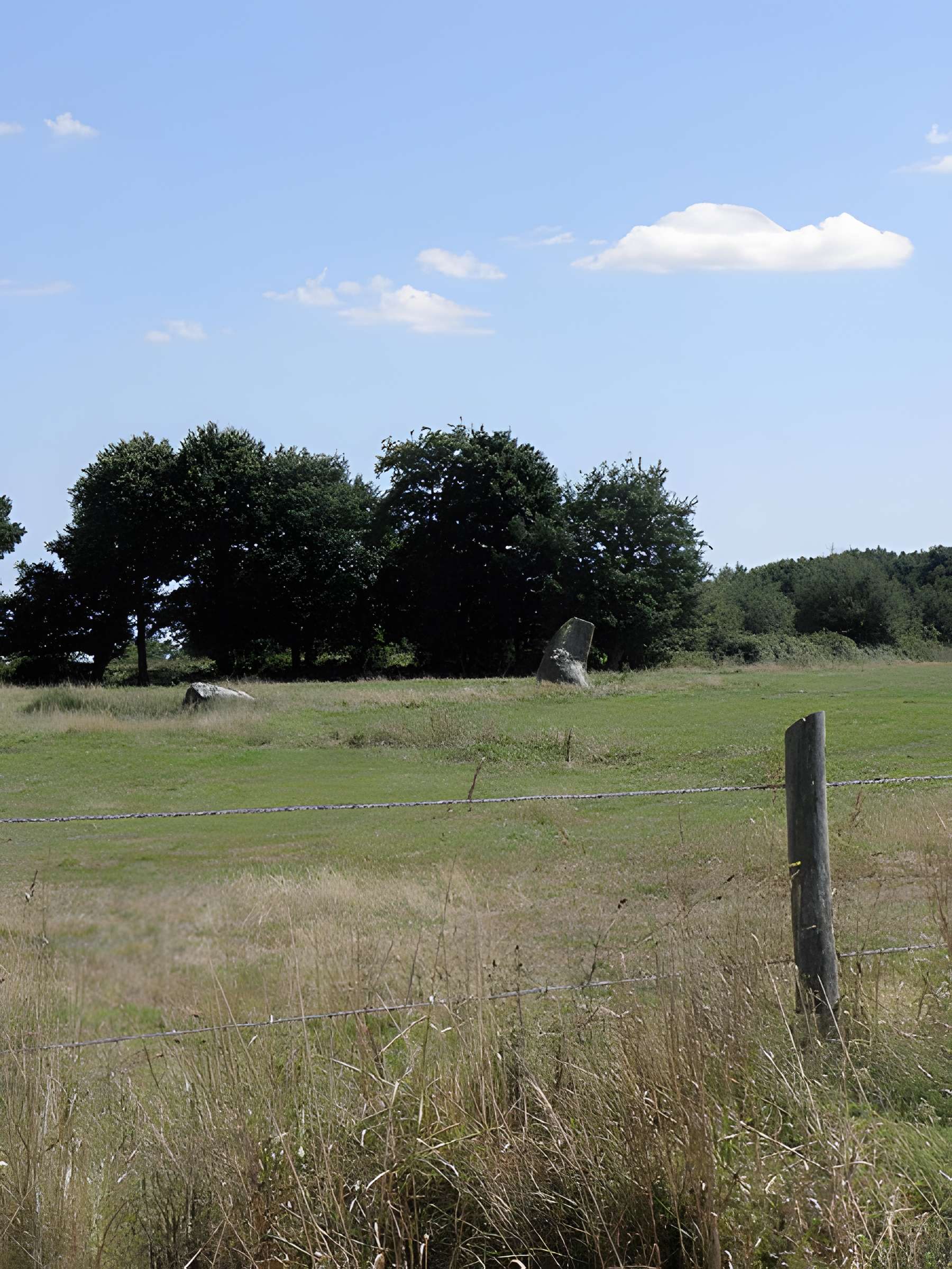 Alignement de menhirs de Bringuerault
