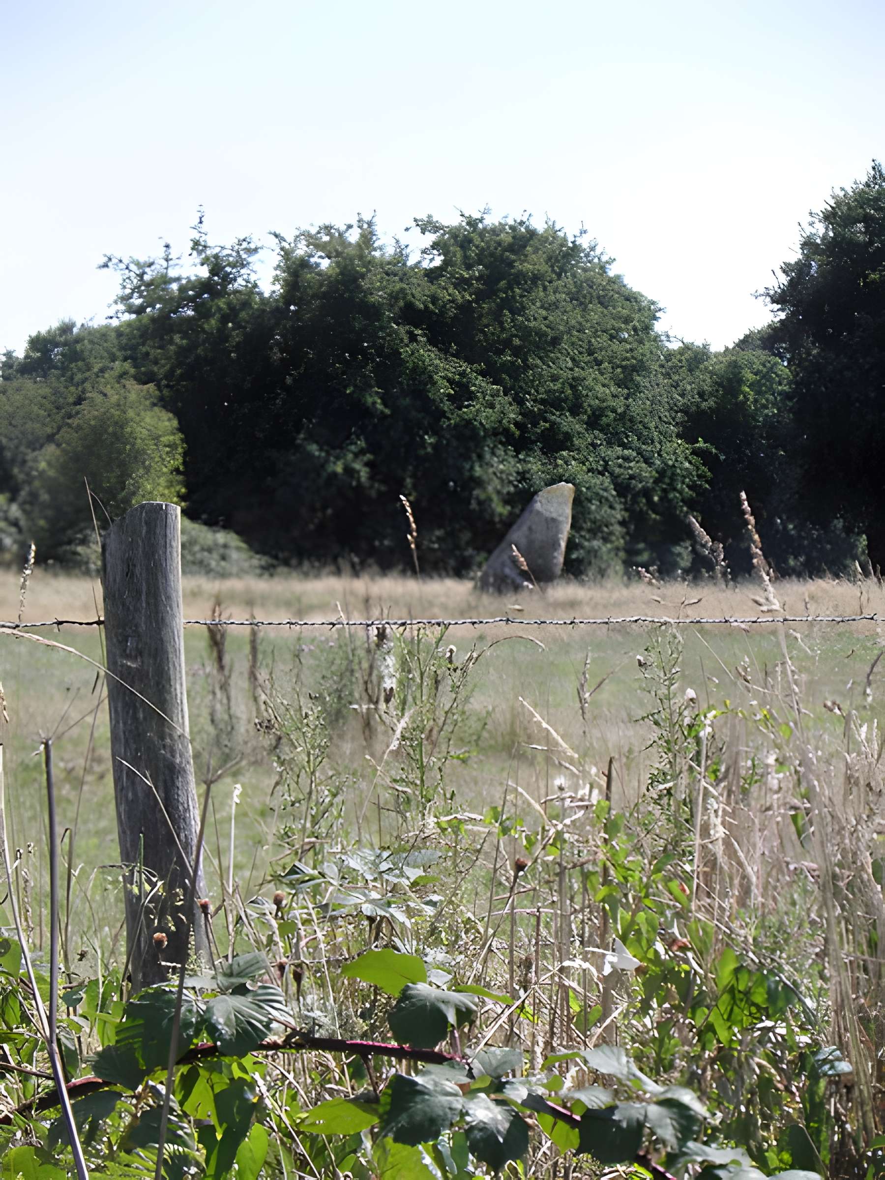 Alignement de menhirs de Bringuerault