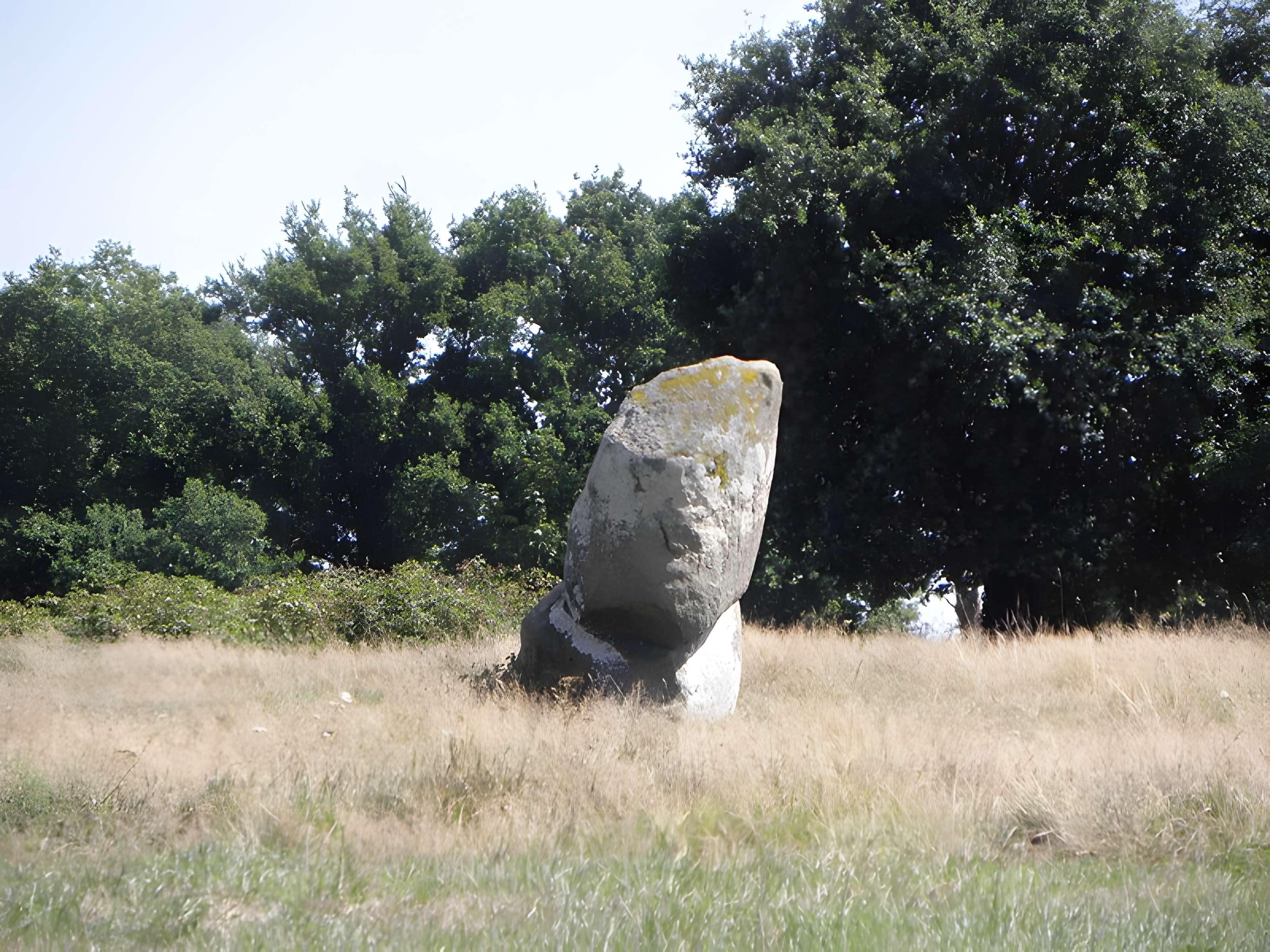 Alignement de menhirs de Bringuerault