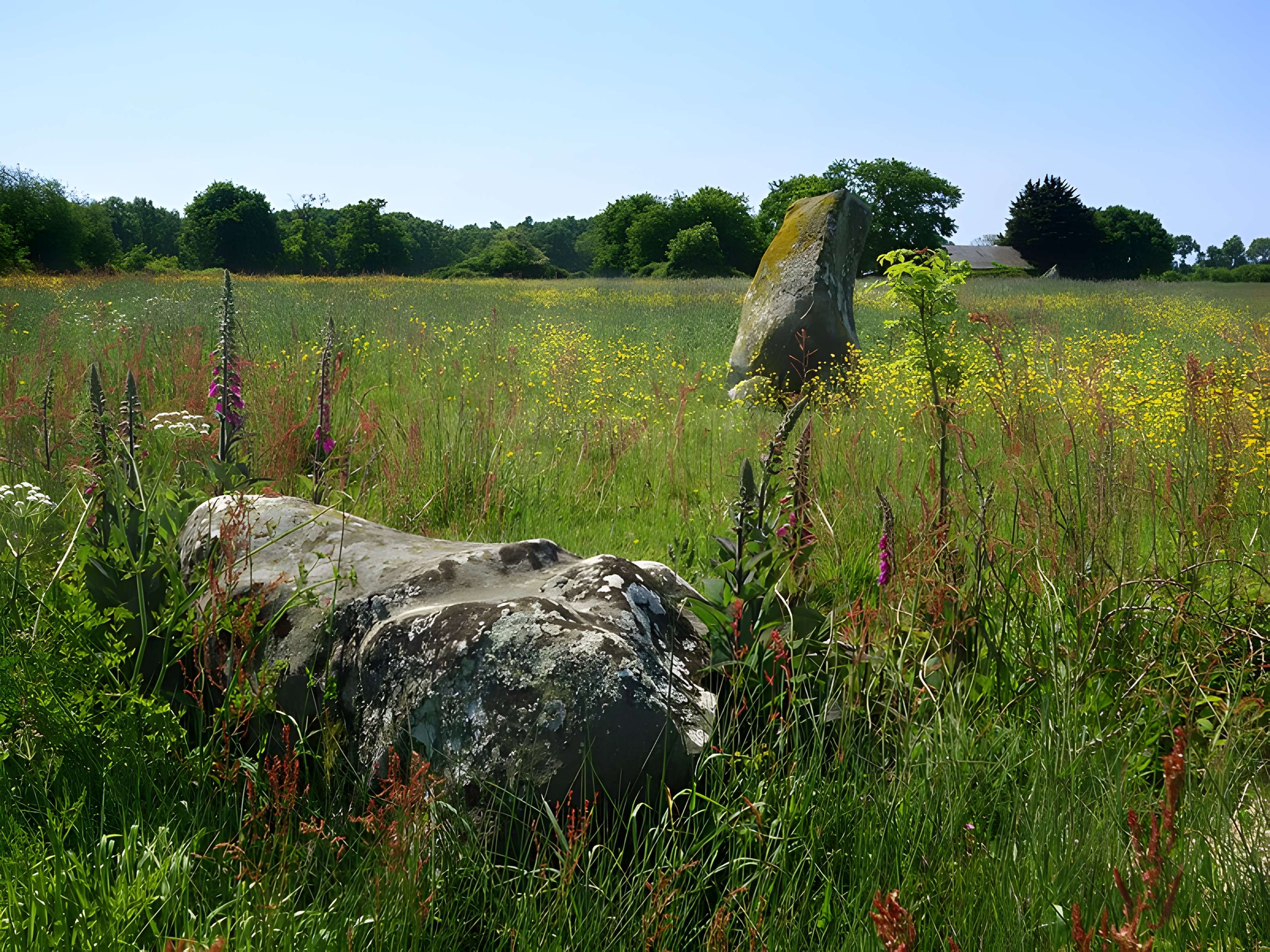 Alignement de menhirs de Bringuerault