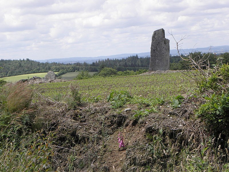 Photo de Alignement de Trimen à Saint-Goazec