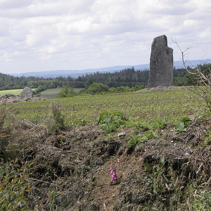 Photo de Alignement de Trimen à Saint-Goazec