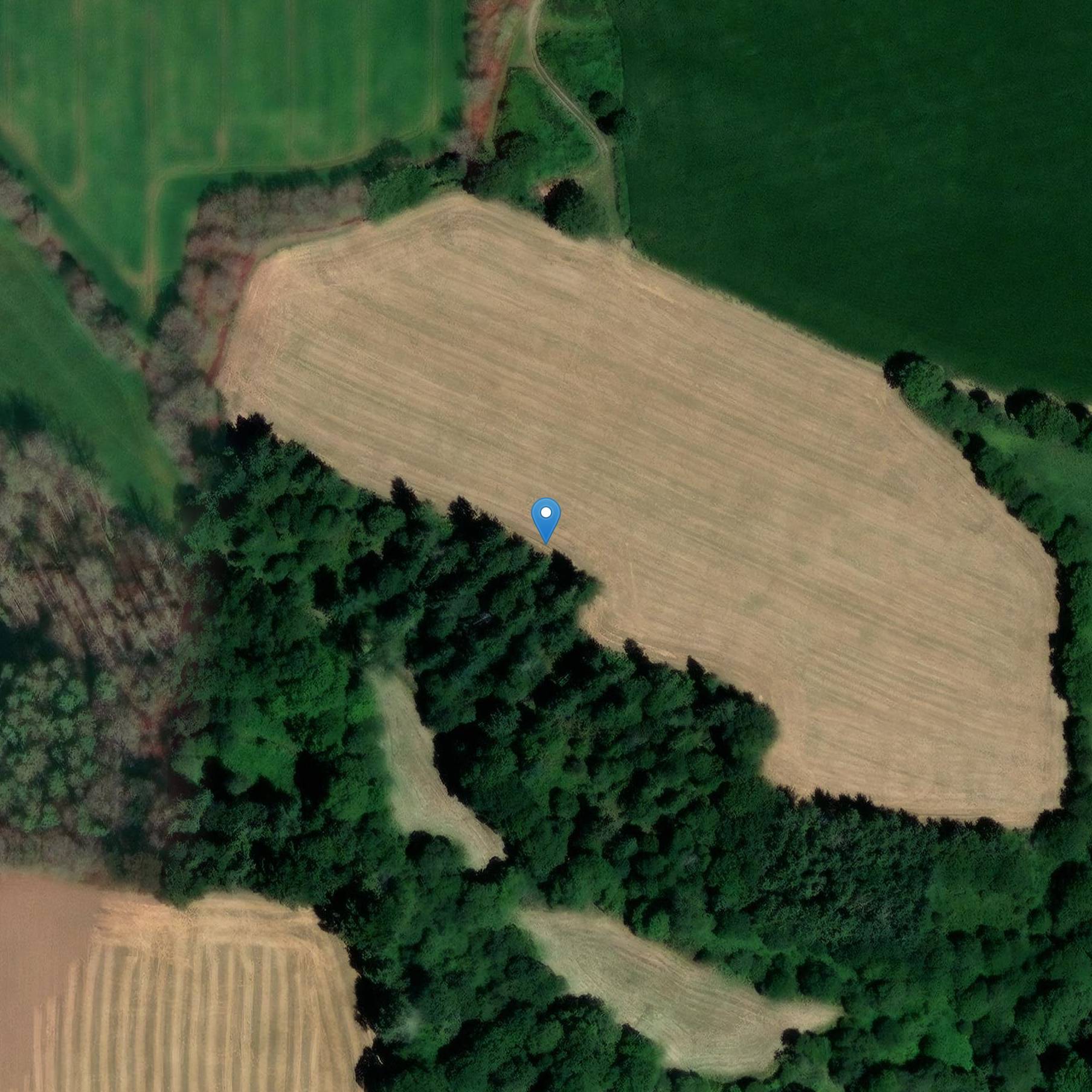 Photo de Alignments du Bois du Duc へ Spézet