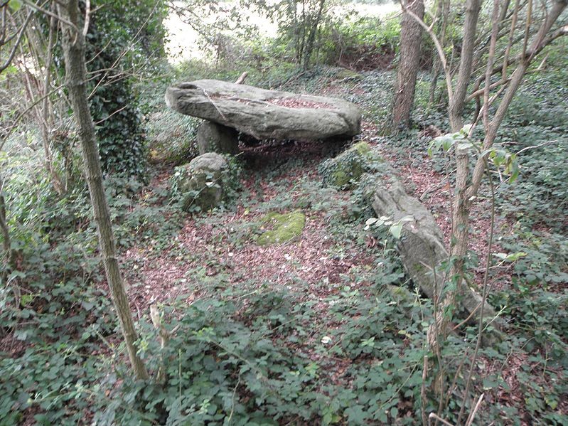 Photo de Allée couverte de Four-es-Feins à Miniac-Morvan