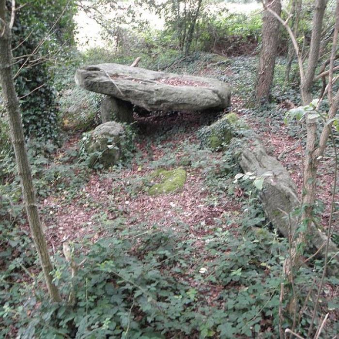 Photo de Allée couverte de Four-es-Feins à Miniac-Morvan