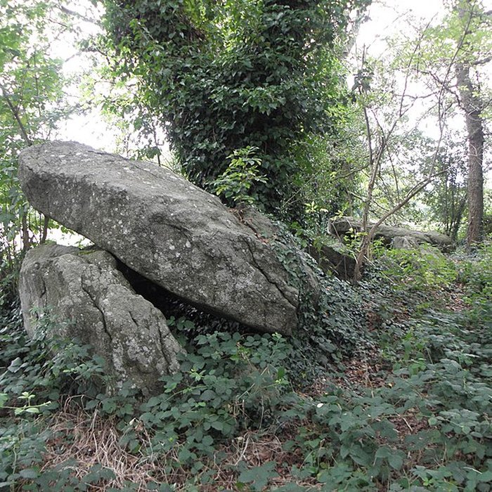 Photo de Allée couverte de Four-es-Feins à Miniac-Morvan