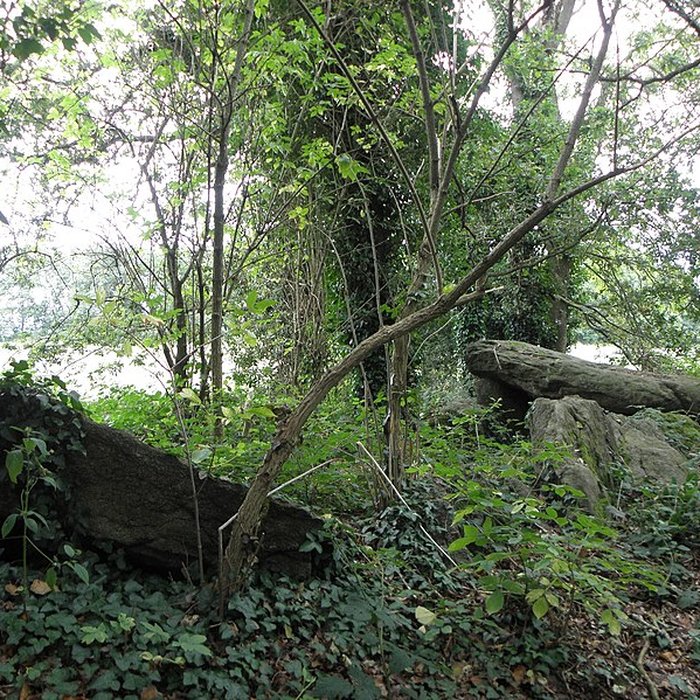 Photo de Allée couverte de Four-es-Feins à Miniac-Morvan