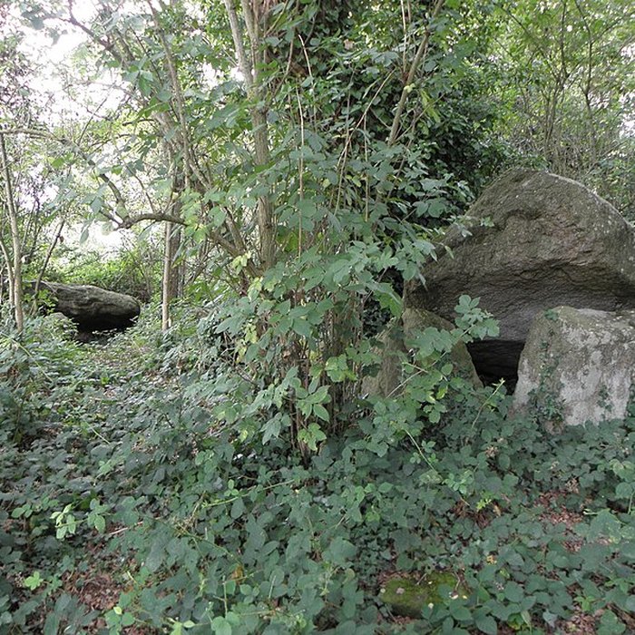 Photo de Allée couverte de Four-es-Feins à Miniac-Morvan