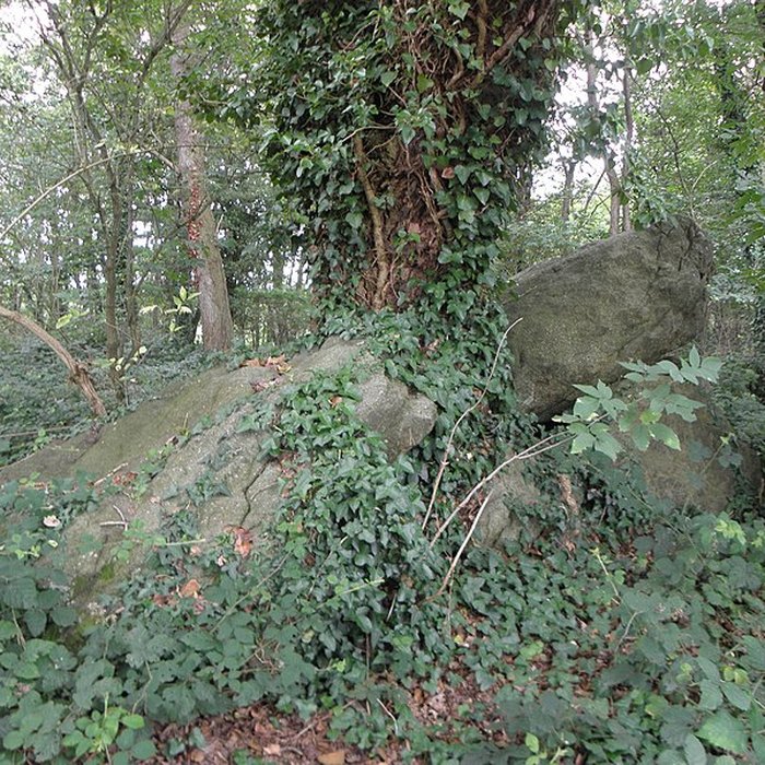 Photo de Allée couverte de Four-es-Feins à Miniac-Morvan