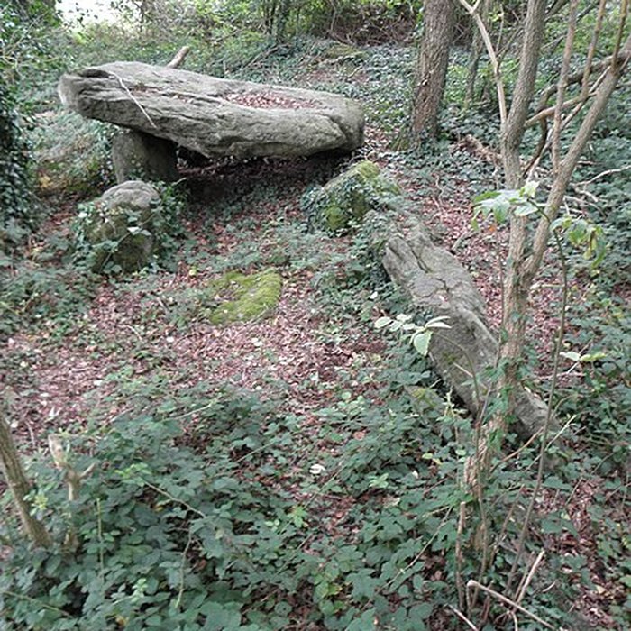 Photo de Allée couverte de Four-es-Feins à Miniac-Morvan